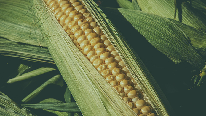 rb88随行版-rb88手机随行版登录入口