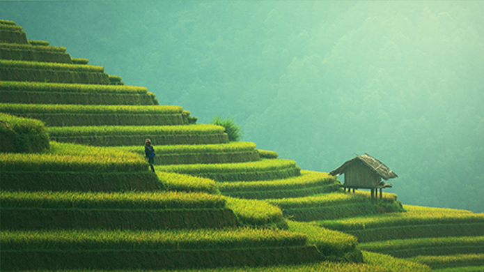 rb88随行版-rb88手机随行版登录入口