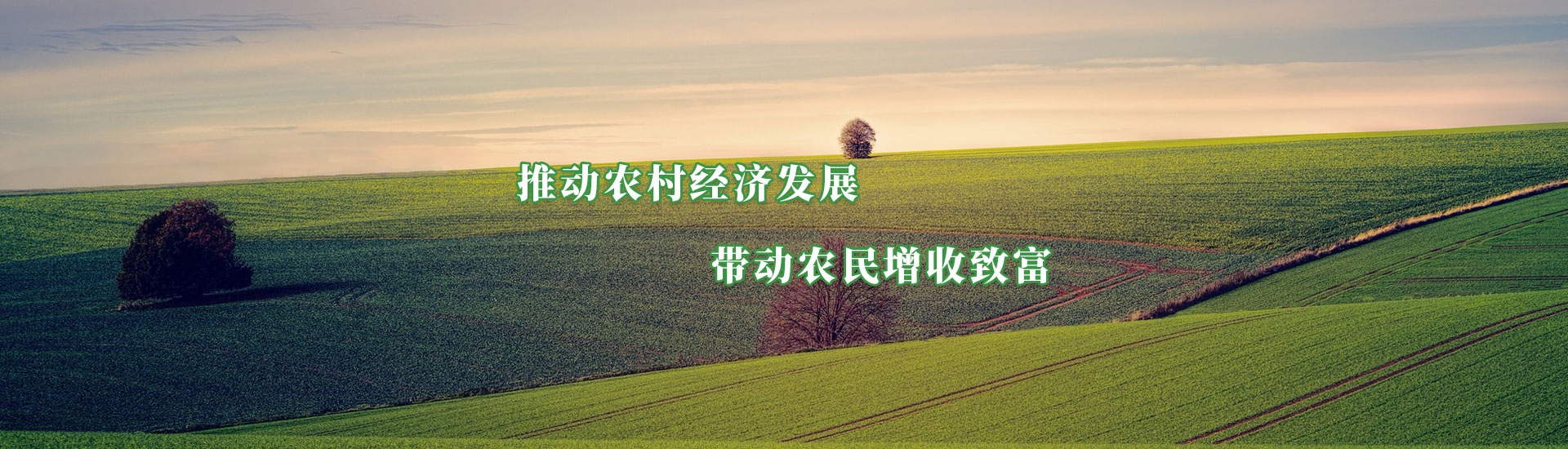 rb88随行版-rb88手机随行版登录入口