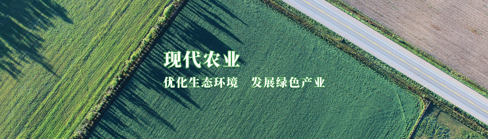 rb88随行版-rb88手机随行版登录入口