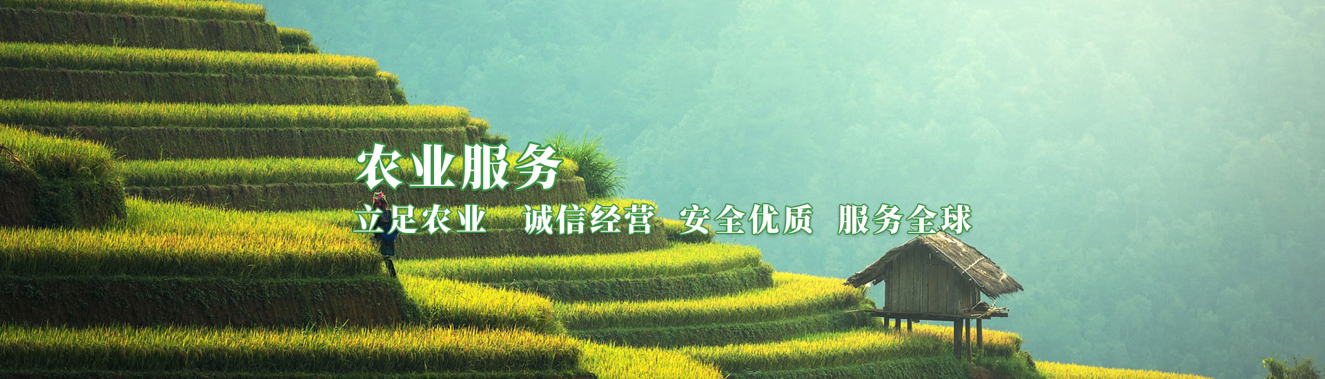 rb88随行版-rb88手机随行版登录入口