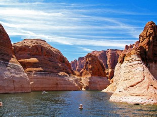 农业农村部：：：增强实验室生物清静治理 包管畜牧业生产清静