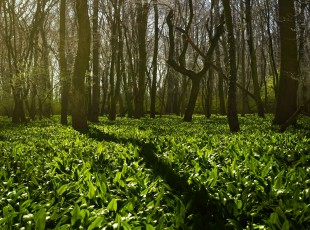 访农户，，，送手艺！ “中国农资”现代农业服务团队助力秋粮生产