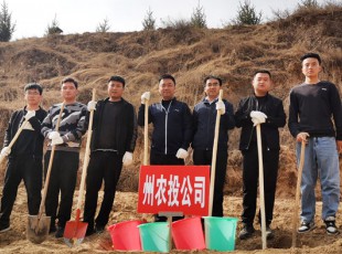 rb88随行版加入2021年春季义务植树活动