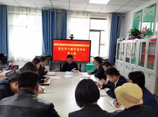 rb88随行版  举行党史学习教育第三期念书班